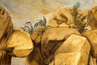 Schloss Bruchsal - Hauptbau - Erdgeschoss - Grotte - Zentrales Gewölbe, Südseite - Blick auf eine Szene mit einem Eichhörnchen (Malereien ursprünglich von Giovanni Francesco Marchini, 1731 bis 1736, rekonstruiert von Manfred Leitenmeier, 1971 bis 1980) (aufgenommen im Januar 2019, am Nachmittag) Schloss Bruchsal - Hauptbau - Erdgeschoss - Grotte - Zentrales Gewölbe, Südseite - Blick auf eine Szene mit einem Eichhörnchen (Malereien ursprünglich von Giovanni Francesco Marchini, 1731 bis 1736, rekonstruiert von Manfred Leitenmeier, 1971 bis 1980) (aufgenommen im Januar 2019, am Nachmittag)