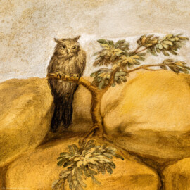 Schloss Bruchsal - Hauptbau - Erdgeschoss - Grotte - Umlaufendes Gewölbe, Südwestseite - Blick auf eine Szene mit einer Eule (Malereien ursprünglich von Giovanni Francesco Marchini, 1731 bis 1736, rekonstruiert von Manfred Leitenmeier, 1971 bis 1980) (aufgenommen im Februar 2019, am Nachmittag) Schloss Bruchsal - Hauptbau - Erdgeschoss - Grotte - Umlaufendes Gewölbe, Südwestseite - Blick auf eine Szene mit einer Eule (Malereien ursprünglich von Giovanni Francesco Marchini, 1731 bis 1736, rekonstruiert von Manfred Leitenmeier, 1971 bis 1980) (aufgenommen im Februar 2019, am Nachmittag)