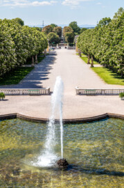 Schloss Bruchsal - Schlossterrasse / Schlossgarten - Blick von oben vom westlichen Balkon auf die Mitte der Schlossterrasse, auf die Allee sowie auf die blühenden Kastanienbäumen des Schlossgartens (aufgenommen im Mai 2019, am Nachmittag)