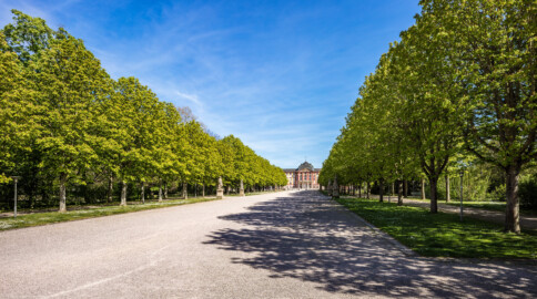 Schloss Bruchsal - Schlossgarten - Hauptachse / Mittlere Ost-West-Achse - Von Westen - Blick auf die Hauptachse und die Kastanienbäume (aufgenommen im April 2020, am Nachmittag) Schloss Bruchsal - Schlossgarten - Hauptachse / Mittlere Ost-West-Achse - Von Westen - Blick auf die Hauptachse und die Kastanienbäume (aufgenommen im April 2020, am Nachmittag)