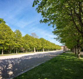 Schloss Bruchsal - Schlossgarten - Hauptachse / Mittlere Ost-West-Achse - Von Südwesten - Blick auf die Hauptachse und die Kastanienbäume (aufgenommen im April 2020, am späten Nachmittag)