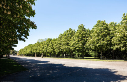 Schloss Bruchsal - Schlossgarten - Hauptachse / Mittlere Ost-West-Achse - Von Südosten - Blick auf die Hauptachse und die Kastanienbäume zur Blütezeit (aufgenommen im April 2020, am Nachmittag)