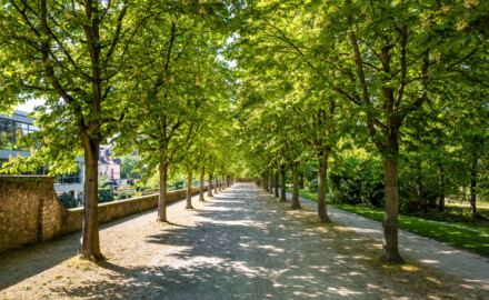 Schloss Bruchsal - Schlossgarten - Südlichste Ost-West-Achse - Von Osten - Blick von der Westseite der Schlossterrasse nach Westen (aufgenommen im April 2020, am späten Nachmittag)