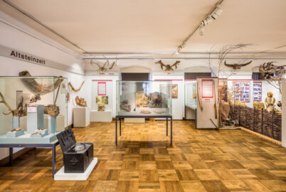 Städtisches Museum Bruchsal - Schloss Bruchsal - Hauptbau / Corps de Logis - Von innen - Östlicher Raum, Eingangsbereich / Bereich Steinzeit - Von Westen - Blick vom Haupteingang des Museums auf den Eingangsbereich mit Tafeln und Exponaten zur Steinzeit (aufgenommen im Dezember 2020, am Nachmittag)