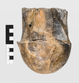 Städtisches Museum Bruchsal - Schloss Bruchsal - Hauptbau / Corps de Logis - Östlicher Raum, Bereich Jungsteinzeit - Fragment (Unterteil) eines jungsteinzeitlichen Tulpenbechers (Alltagskeramik der Michelsberger Kultur; Tulpenbecher vom Typ 4,2, datiert um 3.700-3.650 v. Chr.; Fundort: Bruchsal, Auberg, Anlage „Scheelkopf“; Höhe noch ca. 14,5 cm, Durchmesser ca. 12,2 cm, Wanddicke ca. 1,5 cm; Ton, mit geringem organischem Anteil, sowie natürlicher Sandmagerung; Inv.Nr. 39.34) (aufgenommen im Januar 2021, am frühen Nachmittag) Städtisches Museum Bruchsal - Schloss Bruchsal - Hauptbau / Corps de Logis - Östlicher Raum, Bereich Jungsteinzeit - Fragment (Unterteil) eines jungsteinzeitlichen Tulpenbechers (Alltagskeramik der Michelsberger Kultur; Tulpenbecher vom Typ 4,2, datiert um 3.700-3.650 v. Chr.; Fundort: Bruchsal, Auberg, Anlage „Scheelkopf“; Höhe noch ca. 14,5 cm, Durchmesser ca. 12,2 cm, Wanddicke ca. 1,5 cm; Ton, mit geringem organischem Anteil, sowie natürlicher Sandmagerung; Inv.Nr. 39.34) (aufgenommen im Januar 2021, am frühen Nachmittag)