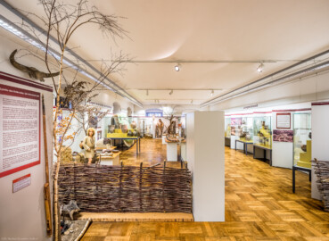 Städtisches Museum Bruchsal - Schloss Bruchsal - Hauptbau / Corps de Logis - Von innen - Östlicher Raum, Bereich Steinzeit / Experimentelle Archäologie - Von Norden - Blick nach Süden in den östlichen Raum (aufgenommen im Januar 2021, am Nachmittag)