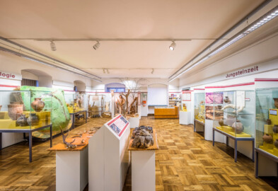 Städtisches Museum Bruchsal - Schloss Bruchsal - Hauptbau / Corps de Logis - Von innen - Östlicher Raum, Bereich Steinzeit / Experimentelle Archäologie - Von Norden - Blick von der Mitte des Raumes nach Süden in den östlichen Raum (aufgenommen im Januar 2021, am Nachmittag)