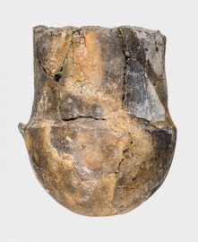 Städtisches Museum Bruchsal - Schloss Bruchsal - Hauptbau / Corps de Logis - Östlicher Raum, Bereich Jungsteinzeit - Fragment (Unterteil) eines jungsteinzeitlichen Tulpenbechers (Alltagskeramik der Michelsberger Kultur; Tulpenbecher vom Typ 4,2, datiert um 3.700-3.650 v. Chr.; Fundort: Bruchsal, Auberg, Anlage „Scheelkopf“; Höhe noch ca. 14,5 cm, Durchmesser ca. 12,2 cm, Wanddicke ca. 1,5 cm; Ton, mit geringem organischem Anteil, sowie natürlicher Sandmagerung; Inv.Nr. 39.34) (aufgenommen im Januar 2021, am frühen Nachmittag)