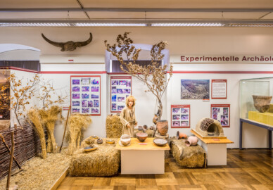 Städtisches Museum Bruchsal - Schloss Bruchsal - Hauptbau / Corps de Logis - Von innen - Östlicher Raum, Bereich Experimentelle Archäologie - Von Westen - Blick nach Osten auf Michi, den kleinen Steinzeitjungen, in der Mitte ein Reibstein zum Schroten und Mahlen von Getreide, links Werkzeuge (Feldhacke, Hakenpflug) zum Getreideanbau sowie Schalen mit Nahrungsmitteln, rechts Vorrats- und Kochgefäße, rechts davon ein Modell eines steinzeitlichen Backofens sowie ganz rechts in der Vitrine Vorratsgefäße, im Hintergrund Plakate zu diversen experimentellen Projekten (aufgenommen im März 2021, um die Mittagszeit)
