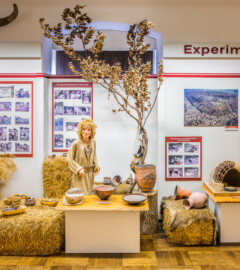 Städtisches Museum Bruchsal - Schloss Bruchsal - Hauptbau / Corps de Logis - Von innen - Östlicher Raum, Bereich Experimentelle Archäologie - Von Westen - Blick nach Osten auf Michi, den kleinen Steinzeitjungen, in der Mitte ein Reibstein zum Schroten und Mahlen von Getreide, links Schalen mit Nahrungsmitteln, rechts Vorrats- und Kochgefäße, ganz rechts  ein Modell eines steinzeitlichen Backofens, im Hintergrund Plakate zu diversen experimentellen Projekten (aufgenommen im März 2021, um die Mittagszeit)