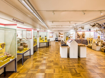 Städtisches Museum Bruchsal - Schloss Bruchsal - Hauptbau / Corps de Logis - Von innen - Östlicher Raum, Bereich Steinzeit - Von Süden - Blick von der Mitte des Raumes nach Norden in den östlichen Raum (aufgenommen im März 2021, am frühen Nachmittag)