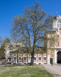 Schloss Bruchsal - Damianstor, westlicher Flügelanbau - Von Außen - Von Süden - Blick auf den seitlichen, linken / westlichen Fügelanbau des Damianstors (aufgenommen im März 2022, um die Mittagszeit) Schloss Bruchsal - Damianstor, westlicher Flügelanbau - Von Außen - Von Süden - Blick auf den seitlichen, linken / westlichen Fügelanbau des Damianstors (aufgenommen im März 2022, um die Mittagszeit)