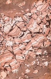 Schloss Bruchsal - Hauptbau / Corps de Logis - Beletage - Kuppelsaal - Stuckmarmor an einem Pilaster (urspüngliche Stuckaturen von Johann Michael Feichtmayr, Rekonstruktion durch Jakob und Josef Schnitzer, 1960 bis 1964)) (aufgenommen im Februar 2023, am frühen Nachmittag) Schloss Bruchsal - Hauptbau / Corps de Logis - Beletage - Kuppelsaal - Stuckmarmor an einem Pilaster (urspüngliche Stuckaturen von Johann Michael Feichtmayr, Rekonstruktion durch Jakob und Josef Schnitzer, 1960 bis 1964)) (aufgenommen im Februar 2023, am frühen Nachmittag)