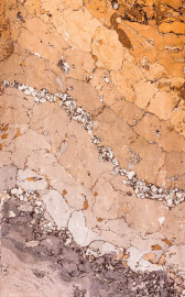 Schloss Bruchsal - Hauptbau / Corps de Logis - Beletage - Kuppelsaal - Stuckmarmor an einem Pilaster (urspüngliche Stuckaturen von Johann Michael Feichtmayr, Rekonstruktion durch Jakob und Josef Schnitzer, 1960 bis 1964)) (aufgenommen im Februar 2023, am frühen Nachmittag) Schloss Bruchsal - Hauptbau / Corps de Logis - Beletage - Kuppelsaal - Stuckmarmor an einem Pilaster (urspüngliche Stuckaturen von Johann Michael Feichtmayr, Rekonstruktion durch Jakob und Josef Schnitzer, 1960 bis 1964)) (aufgenommen im Februar 2023, am frühen Nachmittag)