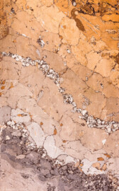 Schloss Bruchsal - Hauptbau / Corps de Logis - Beletage - Kuppelsaal - Stuckmarmor an einem Pilaster (urspüngliche Stuckaturen von Johann Michael Feichtmayr, Rekonstruktion durch Jakob und Josef Schnitzer, 1960 bis 1964)) (aufgenommen im Februar 2023, am frühen Nachmittag) Schloss Bruchsal - Hauptbau / Corps de Logis - Beletage - Kuppelsaal - Stuckmarmor an einem Pilaster (urspüngliche Stuckaturen von Johann Michael Feichtmayr, Rekonstruktion durch Jakob und Josef Schnitzer, 1960 bis 1964)) (aufgenommen im Februar 2023, am frühen Nachmittag)