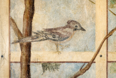 Schloss Bruchsal - Hauptbau / Corps de Logis - Erdgeschoss - Laubenzimmer - Nordwand, rechts der Tür - Blick auf einen Vogel in der Laube (Malereien vermutlich von Giovanni Francesco Marchini, zwischen 1731 und 1736, weitgehend original erhalten, in den 1970er Jahren freigelegt) (aufgenommen im Februar 2023, um die Mittagszeit) Schloss Bruchsal - Hauptbau / Corps de Logis - Erdgeschoss - Laubenzimmer - Nordwand, rechts der Tür - Blick auf einen Vogel in der Laube (Malereien vermutlich von Giovanni Francesco Marchini, zwischen 1731 und 1736, weitgehend original erhalten, in den 1970er Jahren freigelegt) (aufgenommen im Februar 2023, um die Mittagszeit)