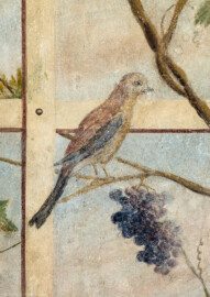 Schloss Bruchsal - Hauptbau / Corps de Logis - Erdgeschoss - Laubenzimmer - Ostwand, links der Tür - Blick auf einen Vogel in der Laube (Malereien vermutlich von Giovanni Francesco Marchini, zwischen 1731 und 1736, weitgehend original erhalten, in den 1970er Jahren freigelegt) (aufgenommen im Februar 2023, am frühen Nachmittag) Schloss Bruchsal - Hauptbau / Corps de Logis - Erdgeschoss - Laubenzimmer - Ostwand, links der Tür - Blick auf einen Vogel in der Laube (Malereien vermutlich von Giovanni Francesco Marchini, zwischen 1731 und 1736, weitgehend original erhalten, in den 1970er Jahren freigelegt) (aufgenommen im Februar 2023, am frühen Nachmittag)