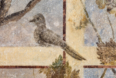 Schloss Bruchsal - Hauptbau / Corps de Logis - Erdgeschoss - Laubenzimmer - Südwand, westliches Fenster, östliche Laibung - Blick auf einen Vogel in der Laube (Malereien vermutlich von Giovanni Francesco Marchini, zwischen 1731 und 1736, weitgehend original erhalten, in den 1970er Jahren freigelegt) (aufgenommen im Februar 2023, am frühen Nachmittag) Schloss Bruchsal - Hauptbau / Corps de Logis - Erdgeschoss - Laubenzimmer - Südwand, westliches Fenster, östliche Laibung - Blick auf einen Vogel in der Laube (Malereien vermutlich von Giovanni Francesco Marchini, zwischen 1731 und 1736, weitgehend original erhalten, in den 1970er Jahren freigelegt) (aufgenommen im Februar 2023, am frühen Nachmittag)