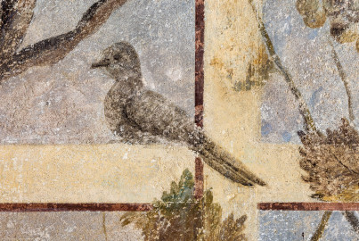 Schloss Bruchsal - Hauptbau / Corps de Logis - Erdgeschoss - Laubenzimmer - Südwand, westliches Fenster, östliche Laibung - Blick auf einen Vogel in der Laube (Malereien vermutlich von Giovanni Francesco Marchini, zwischen 1731 und 1736, weitgehend original erhalten, in den 1970er Jahren freigelegt) (aufgenommen im Februar 2023, am frühen Nachmittag) Schloss Bruchsal - Hauptbau / Corps de Logis - Erdgeschoss - Laubenzimmer - Südwand, westliches Fenster, östliche Laibung - Blick auf einen Vogel in der Laube (Malereien vermutlich von Giovanni Francesco Marchini, zwischen 1731 und 1736, weitgehend original erhalten, in den 1970er Jahren freigelegt) (aufgenommen im Februar 2023, am frühen Nachmittag)