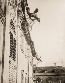 Schloss Bruchsal - Drache am Hauptbau - Seite 17 - Auszug aus: "Georg Maria Eckert: Das Schloss zu Bruchsal in Photographieen / Rococo Ornamente aus dem Schlosse zu Bruchsal, 1871"; Digitalisat der Württembergische Landesbibliothek Stuttgart; Persistente URL: http://digital.wlb-stuttgart.de/purl/bsz517721902; gemeinfrei Schloss Bruchsal - Drache am Hauptbau - Seite 17 - Auszug aus: "Georg Maria Eckert: Das Schloss zu Bruchsal in Photographieen / Rococo Ornamente aus dem Schlosse zu Bruchsal, 1871"; Digitalisat der Württembergische Landesbibliothek Stuttgart; Persistente URL: http://digital.wlb-stuttgart.de/purl/bsz517721902; gemeinfrei