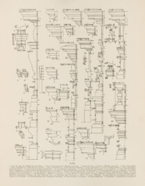 Das Bruchsaler Schloss - Profile (Blatt 17 der Mappe "Fritz Hirsch: Das Bruchsaler Schloss aus Anlass der Renovation (1900-1909)", erschienen: Heidelberg, Carl Winter's Universitätsbuchhandlung, 1910; Mappe aus dem Bestand des Städtischen Museums Bruchsal; Reproduktion durch Dr. Manfred Schneider, mit freundlicher Genehmigung des Museums) Das Bruchsaler Schloss - Profile (Blatt 17 der Mappe "Fritz Hirsch: Das Bruchsaler Schloss aus Anlass der Renovation (1900-1909)", erschienen: Heidelberg, Carl Winter's Universitätsbuchhandlung, 1910; Mappe aus dem Bestand des Städtischen Museums Bruchsal; Reproduktion durch Dr. Manfred Schneider, mit freundlicher Genehmigung des Museums)