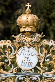 Schloss und Schlossgarten Schwetzingen - Garten - Arboretum, östliches Tor - Von Osten - Blick auf den obersten Teil des schmiedeeisernen, teilvergoldeten Prachttors mit dem Medaillon  und der Krone (Tor fertiggestellt 1755; entworfen von Franz Wilhelm Rabaliatti, geschmiedet von den Mannheimer Schlossermeistern Strickling und Frockmann; ursprünglich an einem anderen Ort verbaut; Schild "Arboretum" nachträglich angebracht) (aufgenommen im Mai 2023, am Vormittag)