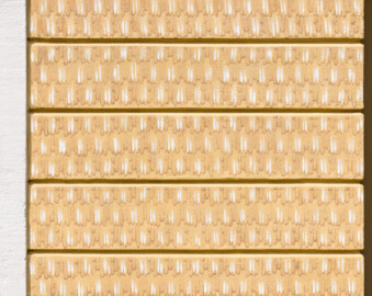 Schloss und Schlossgarten Schwetzingen - Garten - Badhaus - Von aussen - Westseite - Mittelrisalit, rechte Seite - Von Westen - Blick auf Felder mit Tropfsteinbemalung (Gesamter Bau: Länge x Breite ca. 18 x 14 Meter, Höhe ca. 10 Meter; Architekt: Nicolas de Pigage (1723-1796); Bauzeit: 1768-1772; Gesamtinstandsetzung innen und außen: 1999-2006) (aufgenommen im Mai 2023, am späten Vormittag) Schloss und Schlossgarten Schwetzingen - Garten - Badhaus - Von aussen - Westseite - Mittelrisalit, rechte Seite - Von Westen - Blick auf Felder mit Tropfsteinbemalung (Gesamter Bau: Länge x Breite ca. 18 x 14 Meter, Höhe ca. 10 Meter; Architekt: Nicolas de Pigage (1723-1796); Bauzeit: 1768-1772; Gesamtinstandsetzung innen und außen: 1999-2006) (aufgenommen im Mai 2023, am späten Vormittag)