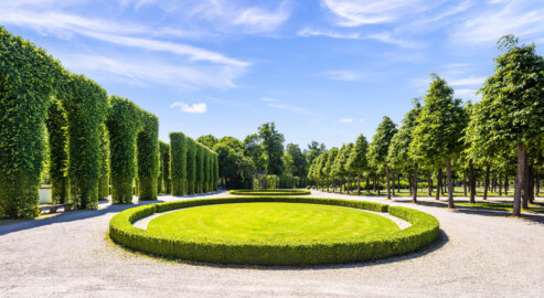Schloss und Schlossgarten Schwetzingen - Garten - Kreisparterre - Südliche Arkadenallee - Ostseite - Von Osten - Blick auf die beiden ovalen Rasenfelder (aufgenommen im Mai 2023, am Nachmittag)