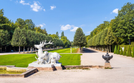Schloss und Schlossgarten Schwetzingen - Garten - Kreisparterre / Ehemaliges Spiegelbassin / Kugelallee - Hirschgruppe / Hirschbassin - Von Osten - Blick vom Kreisparterre nach Westen auf die rechte (nördliche) Hirschgruppe (samt Hirschbassin) sowie eine Urne (weiter rechts), auf das ehemalige Spiegelbassin (hinter der Hirschgruppe) sowie auf die Kugelallee (noch weiter dahinter)  (Bildhauer Hirschgruppe: Peter Anton von Verschaffelt (1710-1793), Datierung: 1766-69; Material Gruppe: gelber Sandstein, Geweih und Hundeschwänze aus Blei, Sockel: roter Sandstein;  Abmessungen Gruppe: Höhe ca. 230 cm, Breite ca. 250 cm, Sockel: Höhe 60 cm, Breite 270 cm, Tiefe 270 cm; Bildhauer Urne: Verschaffelt, Datierung: 1773-77; Material Urne: Bleiguß, Sockel aus rotem Sandstein; Urne Höhe 100 cm, Durchmesser ca. 110 cm, Sockel Höhe 65 cm, Breite 70 cm) (aufgenommen im August 2023, am späten Vormittag)