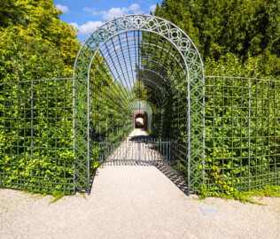 Schloss und Schlossgarten Schwetzingen - Garten - Badhausanlage - Perspektiv - Von Süden - Blick auf und in den Laubengang (Berceau de treillage) zum Perspektiv / zum "Ende der Welt" (Perspektiv: Länge Bau ca. 16 Meter, Breite Bau, ohne gewölbte Wand, ca. 4,5 bis 11 Meter, mit gewölbter Wand ca. 4,5 bis 15 Meter; Fertigstellung: 1775; Architekt: Nicolas de Pigage) (aufgenommen im September 2023, um die Mittagszeit) Schloss und Schlossgarten Schwetzingen - Garten - Badhausanlage - Perspektiv - Von Süden - Blick auf und in den Laubengang (Berceau de treillage) zum Perspektiv / zum "Ende der Welt" (Perspektiv: Länge Bau ca. 16 Meter, Breite Bau, ohne gewölbte Wand, ca. 4,5 bis 11 Meter, mit gewölbter Wand ca. 4,5 bis 15 Meter; Fertigstellung: 1775; Architekt: Nicolas de Pigage) (aufgenommen im September 2023, um die Mittagszeit)