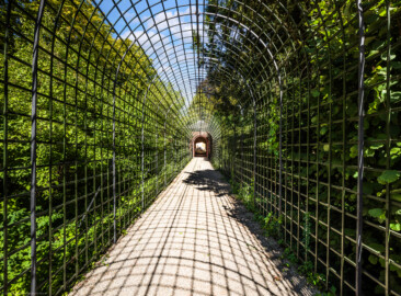 Schloss und Schlossgarten Schwetzingen - Garten - Badhausanlage - Perspektiv - Von Süden - Blick in den Laubengang (Berceau de treillage) zum Perspektiv / zum "Ende der Welt" (Perspektiv: Länge Bau ca. 16 Meter, Breite Bau, ohne gewölbte Wand, ca. 4,5 bis 11 Meter, mit gewölbter Wand ca. 4,5 bis 15 Meter; Fertigstellung: 1775; Architekt: Nicolas de Pigage) (aufgenommen im September 2023, am frühen Nachmittag) Schloss und Schlossgarten Schwetzingen - Garten - Badhausanlage - Perspektiv - Von Süden - Blick in den Laubengang (Berceau de treillage) zum Perspektiv / zum "Ende der Welt" (Perspektiv: Länge Bau ca. 16 Meter, Breite Bau, ohne gewölbte Wand, ca. 4,5 bis 11 Meter, mit gewölbter Wand ca. 4,5 bis 15 Meter; Fertigstellung: 1775; Architekt: Nicolas de Pigage) (aufgenommen im September 2023, am frühen Nachmittag)