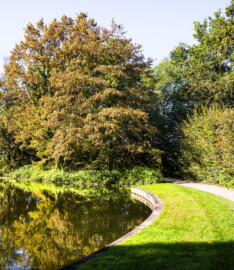 Schloss und Schlossgarten Schwetzingen - Garten - Weiher - Schwarzes Meerle - Nordseite - Von Osten - Blick nach Westen entlang der nördlichen Uferlinie des Schwarzen Meerles (aufgenommen im September 2023, am späten Vormittag) Schloss und Schlossgarten Schwetzingen - Garten - Weiher - Schwarzes Meerle - Nordseite - Von Osten - Blick nach Westen entlang der nördlichen Uferlinie des Schwarzen Meerles (aufgenommen im September 2023, am späten Vormittag)