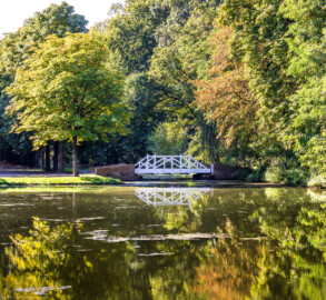 Schloss und Schlossgarten Schwetzingen - Garten - Weiher - Schwarzes Meerle - Südwestseite - Von Nordost - Blick von der Nordseite des Schwarzen Meerles über den Weiher nach Südwesten auf die weiße Brücke; ganz links der Weg Richtung Badhausanlage; nach rechts über die Brücke geht es zur Baumschule (aufgenommen im September 2023, am späten Vormittag)