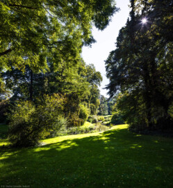 Schloss und Schlossgarten Schwetzingen - Garten - Anlagen - Arborium Theodoricum, Sektor A, Nähe Tempel der Botanik - Von Nordwest - Blick nach Südosten in das kleine Tal mit einem Wasserlauf östlich des Tempels der Botanik (aufgenommen im September 2023, am späten Vormittag)