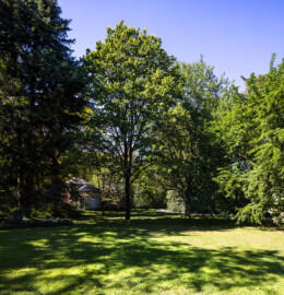 Schloss und Schlossgarten Schwetzingen - Garten - Anlagen - Arboretum, Sektor F (Nähe Perspektiv) - Von Südost - Blick auf Bäume, links der Mitte im Hintergrund das Perspektiv ("Das Ende der Welt"); Baum ganz links: Baumnummer 325, Baum Mitte: Traubeneiche, auch Wintereiche (Quercus petraea) , Baum rechts der Mitte: Schwarzer Maulbeerbaum (Morus nigra), Baum ganz rechts: Milchorangenbaum, auch Osagedorn (Maclura pomifera) (aufgenommen im September 2023, am späten Nachmittag)