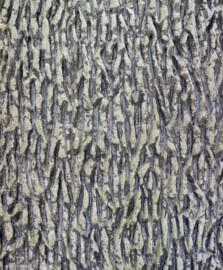 Schloss und Schlossgarten Schwetzingen - Garten - Tempel der Botanik - Von außen - Rückseite - Von Westen - Blick auf einen Ausschnitt des strukturierten Außenputzes, ähnlich der Rinde einer Eiche (Tempel: Durchmesser ca. 7 Meter; Bauzeit: 1777-1780; Architekt: Nicolas de Pigage) (aufgenommen im September 2023, am Nachmittag) Schloss und Schlossgarten Schwetzingen - Garten - Tempel der Botanik - Von außen - Rückseite - Von Westen - Blick auf einen Ausschnitt des strukturierten Außenputzes, ähnlich der Rinde einer Eiche (Tempel: Durchmesser ca. 7 Meter; Bauzeit: 1777-1780; Architekt: Nicolas de Pigage) (aufgenommen im September 2023, am Nachmittag)