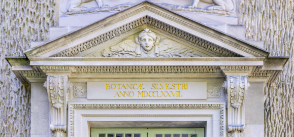 Schloss und Schlossgarten Schwetzingen - Garten - Tempel der Botanik - Von außen - Portal - Von Osten - Blick auf das Portal oberhalb der Tür; links und rechts zwei mit Akanthusblättern belegte Volutenkonsolen; dazwischen die Inschrift: "BOTANICAE SILVESTRI ANNO MDCCLXXVIII.", deutsch: "Der Waldbotanik im Jahre 1778."; darüber ein Dreiecksgiebel; im Tympanon eine Reliefdarstellung eines geflügelten weiblichen Kopfes; Portal geschaffen von Franz Conrad Linck (1730-1793) (Tempel: Durchmesser ca. 7 Meter; Bauzeit: 1777-1780; Architekt: Nicolas de Pigage) (aufgenommen im September 2023, am Nachmittag)