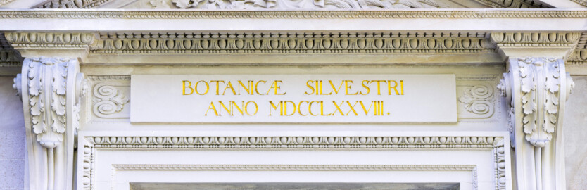 Schloss und Schlossgarten Schwetzingen - Garten - Tempel der Botanik - Von außen - Portal - Von Osten - Blick auf das Portal oberhalb der Tür; links und rechts zwei mit Akanthusblättern belegte Volutenkonsolen; dazwischen die Inschrift: "BOTANICAE SILVESTRI ANNO MDCCLXXVIII.", deutsch: "Der Waldbotanik im Jahre 1778."; Portal geschaffen von Franz Conrad Linck (1730-1793) (Tempel: Durchmesser ca. 7 Meter; Bauzeit: 1777-1780; Architekt: Nicolas de Pigage) (aufgenommen im September 2023, am Nachmittag) Schloss und Schlossgarten Schwetzingen - Garten - Tempel der Botanik - Von außen - Portal - Von Osten - Blick auf das Portal oberhalb der Tür; links und rechts zwei mit Akanthusblättern belegte Volutenkonsolen; dazwischen die Inschrift: "BOTANICAE SILVESTRI ANNO MDCCLXXVIII.", deutsch: "Der Waldbotanik im Jahre 1778."; Portal geschaffen von Franz Conrad Linck (1730-1793) (Tempel: Durchmesser ca. 7 Meter; Bauzeit: 1777-1780; Architekt: Nicolas de Pigage) (aufgenommen im September 2023, am Nachmittag)