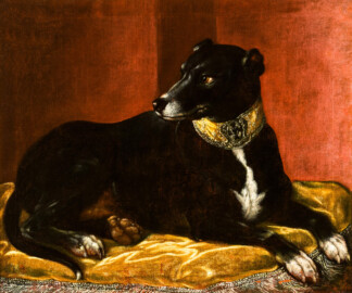 Schloss und Schlossgarten Schwetzingen - Schloss - Mittelbau - Von innen - 1. Obergeschoss - Appartment des Kurfürsten - Kabinett - Ostwand, links der Tür zum Schlafzimmer - Porträt eines Hundes (Maler und Datierung: unbekannt) (aufgenommen im Dezember 2023, am Nachmittag) Schloss und Schlossgarten Schwetzingen - Schloss - Mittelbau - Von innen - 1. Obergeschoss - Appartment des Kurfürsten - Kabinett - Ostwand, links der Tür zum Schlafzimmer - Porträt eines Hundes (Maler und Datierung: unbekannt) (aufgenommen im Dezember 2023, am Nachmittag)