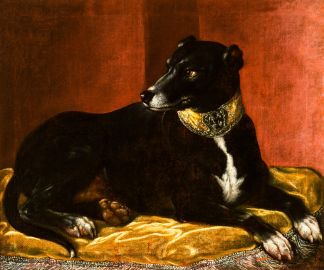 Schloss und Schlossgarten Schwetzingen - Schloss - Mittelbau - Von innen - 1. Obergeschoss - Appartment des Kurfürsten - Kabinett - Ostwand, links der Tür zum Schlafzimmer - Porträt eines Hundes (Maler und Datierung: unbekannt) (aufgenommen im Dezember 2023, am Nachmittag) Schloss und Schlossgarten Schwetzingen - Schloss - Mittelbau - Von innen - 1. Obergeschoss - Appartment des Kurfürsten - Kabinett - Ostwand, links der Tür zum Schlafzimmer - Porträt eines Hundes (Maler und Datierung: unbekannt) (aufgenommen im Dezember 2023, am Nachmittag)