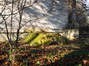 Schloss und Schlossgarten Schwetzingen - Garten - Minervatempel - Von aussen - Südostseite - Von Südost - Blick auf einen Schacht zur spärlichen Beleuchtung des Kellers bzw. Untergeschosses (Gesamter Bau: Breite ca. 7 Meter, Länge ca. 9 Meter, Innenraum kubisch; Rückseite zweigeschossig mit Kellerraum; Architekt: Nicolas de Pigage (1723-1796); Bauzeit: vermutlich zwischen 1767/68 und 1773) (aufgenommen im Januar 2024, am frühen Nachmittag)