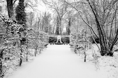 Schloss und Schlossgarten Schwetzingen - Garten - Naturtheater -  Querachse, südliches Ende, an Gartenmauer - Von Norden - Blick auf den Delphinbrunnen bzw. die "fontaine du mascaron" bei Schneefall; Wandbrunnen, gespeist aus Überlaufwasser des Auffangbeckens der Kaskade beim Apollotempel; mittig ein Muschelbecken, darüber eine bärtige Pansmaske als Wasserspender, darunter zwei wasserspeiende Delphine , seitlich Blütengirlanden, oben eine die Gartenmauer überragende Muschel (Bildhauer: Peter Anton von Verschaffelt (1710-1793), Datierung: vor 1775; Material: gelber Sandstein, weiß gefasst, Höhe ca. 2,4 Meter, Beckenbreite ca. 2,5 Meter)  (aufgenommen im Januar 2024, am frühen Nachmittag)