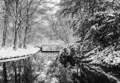 Schloss und Schlossgarten Schwetzingen - Garten - Moscheeweiher - Südwestliche Brücke zur Insel - Von Norden - Blick vom Weg von der Moschee zum Großen Weiher auf die südwestliche Brücke zur Insel des Moscheeweihers bei Schneefall; links die Insel des Moscheeweihers (aufgenommen im Januar 2024, am frühen Nachmittag)