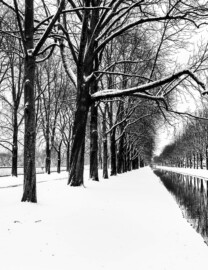 Schloss und Schlossgarten Schwetzingen - Garten - Längsachse Zähringerallee - Von Westen - Blick nach Osten auf die Zähringeralle (links) und den parallel verlaufenden Kanal (rechts) im Schnee; ganz links die südliche Mauer des Obstgartens (aufgenommen im Januar 2024, am Nachmittag)