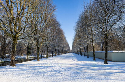 Schloss und Schlossgarten Schwetzingen - Garten - Schwarzmeerallee - Von Westen - Blick nach Osten auf die Schwarzmeerallee mit den gewöhnlichen Rosskastanien (Aesculus hippocastanum); links der Kanal entlang des Arborium Theodoricum, rechts die Mauer des Arboretum (aufgenommen im Januar 2024, am Nachmittag)