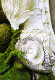 Schloss und Schlossgarten Schwetzingen - Garten - Naturtheater - Querachse, südliches Ende, an Gartenmauer - Delphinbrunnen / "fontaine du mascaron" - Von Norden - Blick auf den rechten der beiden wasserspeienden Delphine des Delphinbrunnens; Wandbrunnen, gespeist aus Überlaufwasser des Auffangbeckens der Kaskade beim Apollotempel (Bildhauer: Peter Anton von Verschaffelt (1710-1793), Datierung: vor 1775; Brunnen: Material gelber Sandstein, weiß gefasst, Höhe ca. 2,4 Meter, Beckenbreite ca. 2,5 Meter) (aufgenommen im April 2024, am Nachmittag) Schloss und Schlossgarten Schwetzingen - Garten - Naturtheater - Querachse, südliches Ende, an Gartenmauer - Delphinbrunnen / "fontaine du mascaron" - Von Norden - Blick auf den rechten der beiden wasserspeienden Delphine des Delphinbrunnens; Wandbrunnen, gespeist aus Überlaufwasser des Auffangbeckens der Kaskade beim Apollotempel (Bildhauer: Peter Anton von Verschaffelt (1710-1793), Datierung: vor 1775; Brunnen: Material gelber Sandstein, weiß gefasst, Höhe ca. 2,4 Meter, Beckenbreite ca. 2,5 Meter) (aufgenommen im April 2024, am Nachmittag)