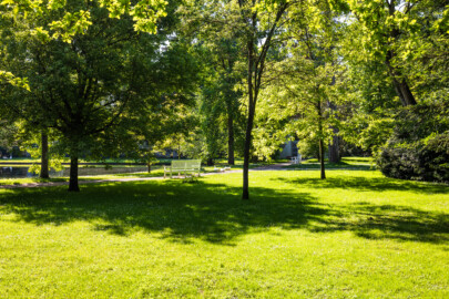 Schloss und Schlossgarten Schwetzingen - Garten - Anlagen - Arboretum, Sektor F (westlich des Arboretumweihers) - Von Nordwest - Blick von der Wiese nordöstlich des Fasanenhofs auf Bäume und Sträucher, den Arboretumweiher (links der Bildmitte) und auf das Porzellanhäuschen  (etwas verdeckt, rechts der Bildmitte) (aufgenommen im Mai 2024, am späten Vormittag)