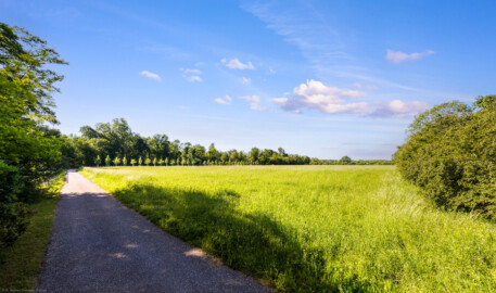 Schloss und Schlossgarten Schwetzingen - Garten - Baumschule am Schwarzen Meerle - Von Norden - Blick von der Nordwestecke nahe dem Gärtnerhaus nach Süden über das Areal; im Nordosten (ganz links hinter dem Gebüsch, außerhalb des Bildes) befindet sich eine Versuchsbaumschule, im Südosten (vor der Baumreihe in der Bildmitte) werden Bäume und Sträucher aufgeschult (Größe des Areals: ca. 300 x 120 Meter) (aufgenommen im Mai 2024, am Vormittag) Schloss und Schlossgarten Schwetzingen - Garten - Baumschule am Schwarzen Meerle - Von Norden - Blick von der Nordwestecke nahe dem Gärtnerhaus nach Süden über das Areal; im Nordosten (ganz links hinter dem Gebüsch, außerhalb des Bildes) befindet sich eine Versuchsbaumschule, im Südosten (vor der Baumreihe in der Bildmitte) werden Bäume und Sträucher aufgeschult (Größe des Areals: ca. 300 x 120 Meter) (aufgenommen im Mai 2024, am Vormittag)