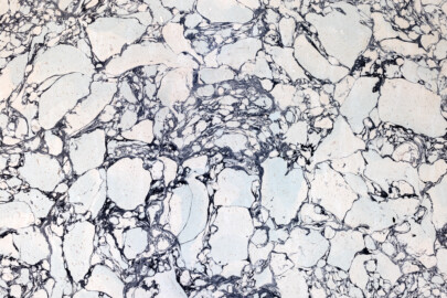 Schloss und Schlossgarten Schwetzingen - Garten - Moschee - Kreuzgang - Südliches Priesterkabinett - Von Innen - Südwand - Blick auf Stuckmarmor der Südwand (Kreuzgang: Länge x Breite mit Anbauten ca. 125 Meter x ca. 60 Meter; Priesterkabinett: Länge x Breite ca. 8 Meter x 8 Meter; Bauzeit: 1782-1795; Architekt: Nicolas de Pigage; Gesamtrestaurierung Moscheeanlage: ca. 1995 bis 2007) (aufgenommen im Juli 2024, am Nachmittag) Schloss und Schlossgarten Schwetzingen - Garten - Moschee - Kreuzgang - Südliches Priesterkabinett - Von Innen - Südwand - Blick auf Stuckmarmor der Südwand (Kreuzgang: Länge x Breite mit Anbauten ca. 125 Meter x ca. 60 Meter; Priesterkabinett: Länge x Breite ca. 8 Meter x 8 Meter; Bauzeit: 1782-1795; Architekt: Nicolas de Pigage; Gesamtrestaurierung Moscheeanlage: ca. 1995 bis 2007) (aufgenommen im Juli 2024, am Nachmittag)