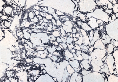 Schloss und Schlossgarten Schwetzingen - Garten - Moschee - Kreuzgang - Südliches Priesterkabinett - Von Innen - Südwand - Blick auf Stuckmarmor der Südwand (Kreuzgang: Länge x Breite mit Anbauten ca. 125 Meter x ca. 60 Meter; Priesterkabinett: Länge x Breite ca. 8 Meter x 8 Meter; Bauzeit: 1782-1795; Architekt: Nicolas de Pigage; Gesamtrestaurierung Moscheeanlage: ca. 1995 bis 2007) (aufgenommen im Juli 2024, am Nachmittag) Schloss und Schlossgarten Schwetzingen - Garten - Moschee - Kreuzgang - Südliches Priesterkabinett - Von Innen - Südwand - Blick auf Stuckmarmor der Südwand (Kreuzgang: Länge x Breite mit Anbauten ca. 125 Meter x ca. 60 Meter; Priesterkabinett: Länge x Breite ca. 8 Meter x 8 Meter; Bauzeit: 1782-1795; Architekt: Nicolas de Pigage; Gesamtrestaurierung Moscheeanlage: ca. 1995 bis 2007) (aufgenommen im Juli 2024, am Nachmittag)